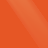 #406 Gloss Orange